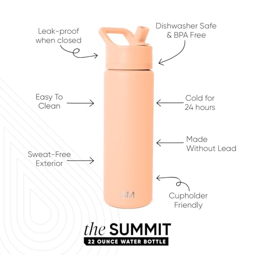 Insulated Water Bottle with Straw