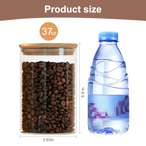 Glass Food Storage Jars 6 (6 Count)