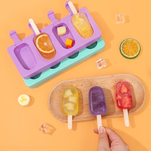 Popsicle Molds Set of 2 (2 Count)