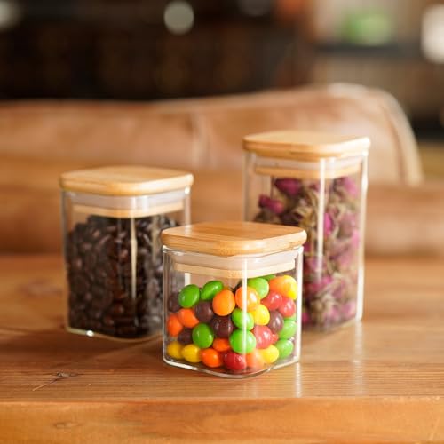 Glass Food Storage Jars Square 6oz (16 Count)