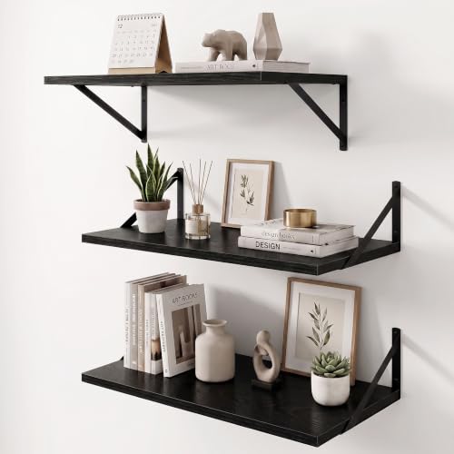 Wall Mounted Floating Shelves Set of 3
