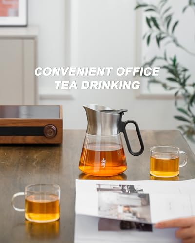 Glass Teapot with Infuser with 2 Cups for Loose Tea Steeper