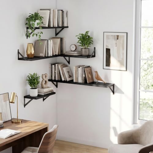 Wall Mounted Floating Shelves Set of 2 (2 Count)