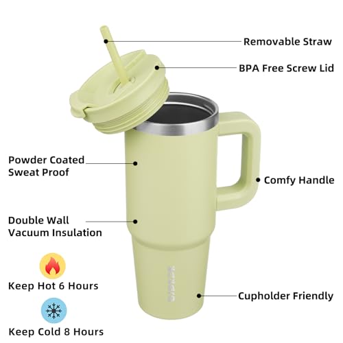 30 oz Insulated Tumbler with Handle & Straw