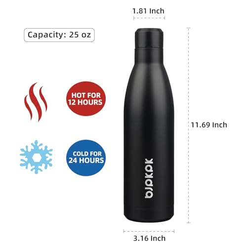 25 oz Insulated Stainless Steel Water Bottle