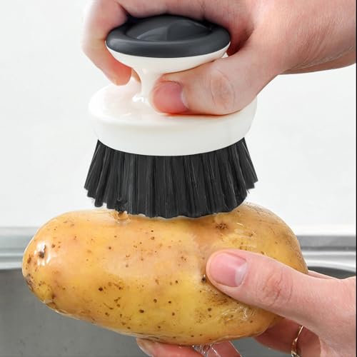 Dish Scrub Brush