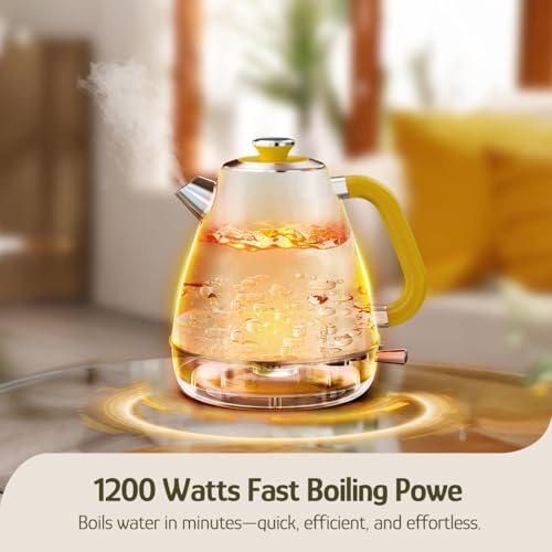 X Eduardo Recife Retro Electric Kettle with Thermometer