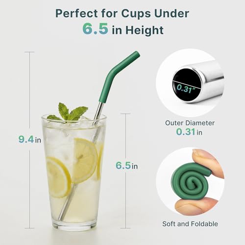 Short Metal Straw Reusable