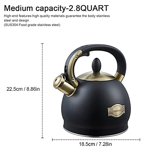 Stove Top Whistling Tea Kettle