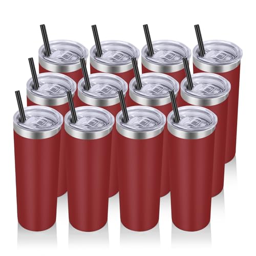 20 oz Stainless Steel Skinny Tumbler with Lids and Straws (12 Count)