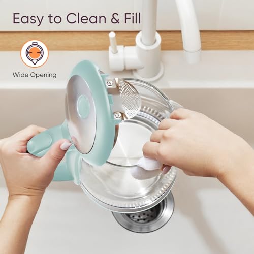 Electric Kettle