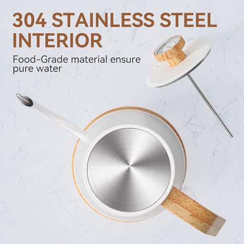 Electric Gooseneck Kettle with Thermometer