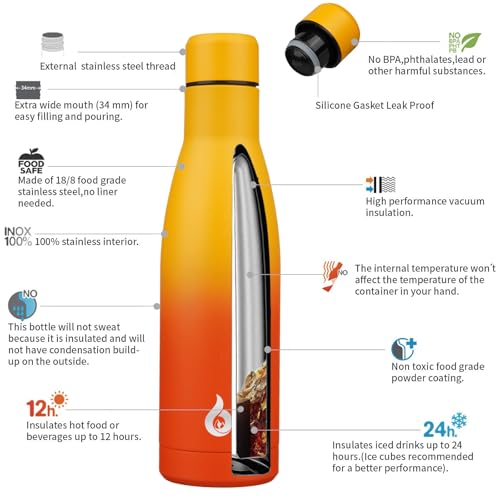 17 oz Insulated Thermal Metal Water Bottle