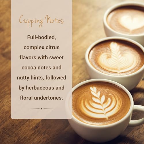 Espresso Coffee (10 Count)