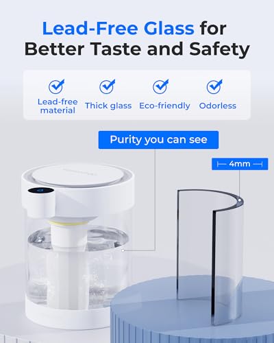 ED12W Glass Rechargeable Water Filter Dispenser