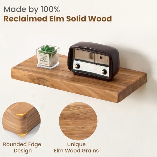 Floating Shelves for Wall