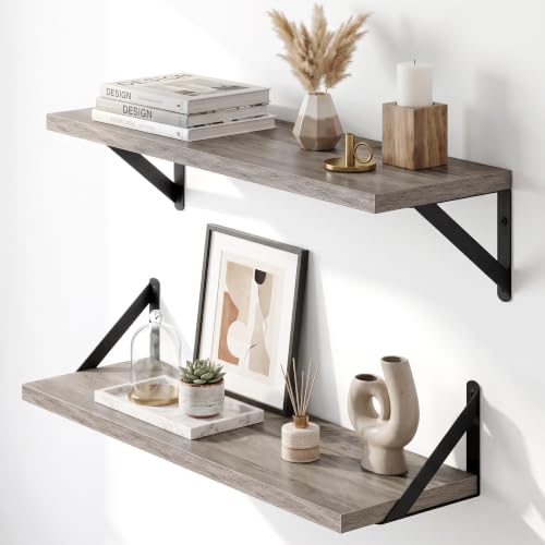 Wall Mounted Floating Shelves Set of 2 (2 Count)
