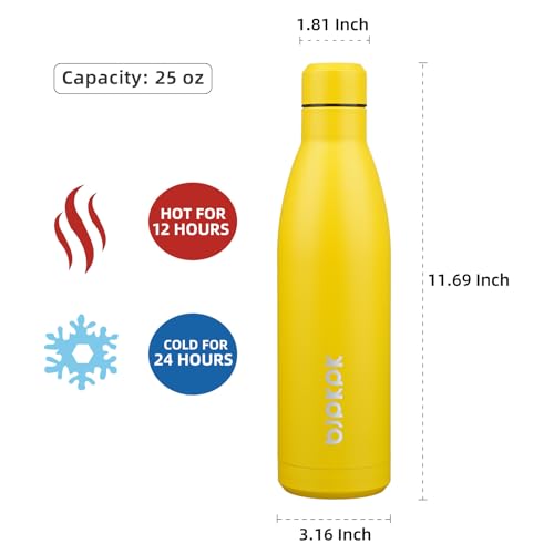25 oz Insulated Stainless Steel Water Bottle