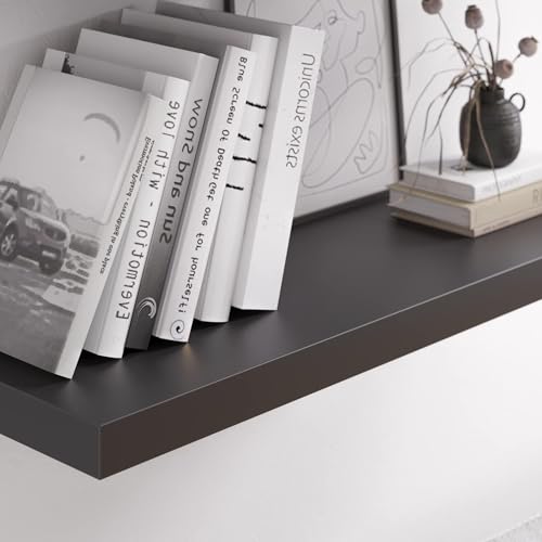 Floating Shelf (2 Count)