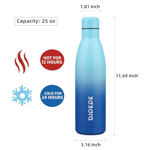25 oz Insulated Stainless Steel Water Bottle