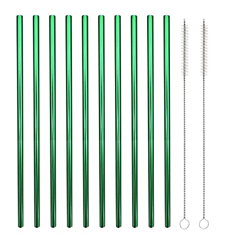 10 Pcs Stainless Steel Straws