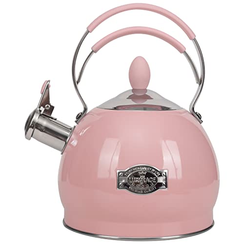 Whistling Tea Kettle Stainless Steel Teapot