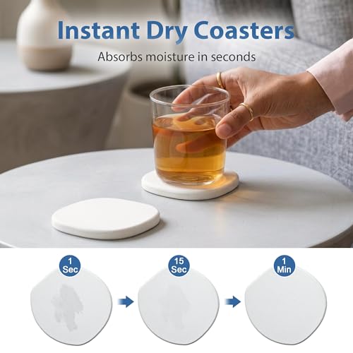 4 Pack Diatomite Absorbent Coasters for Drinks (4 Count)