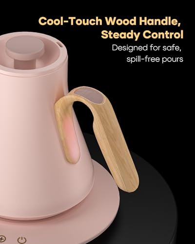 Gooseneck Electric Kettle