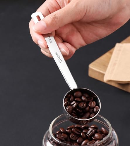 304 Stainless Steel Coffee Scoop (2 Count)
