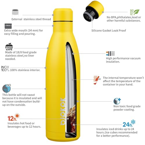 25 oz Insulated Stainless Steel Water Bottle