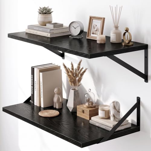 Wall Mounted Floating Shelves Set of 2 (2 Count)