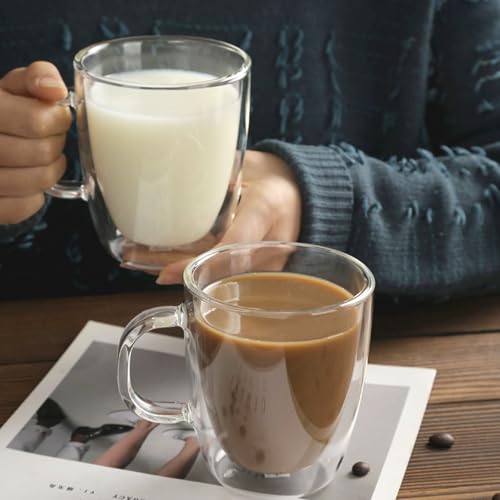 12OZ Double Wall Glass Cups With Handle (2 Count)