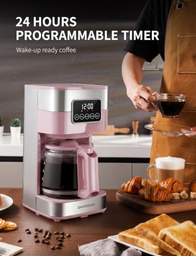 10 Cup Programmable Coffee Maker