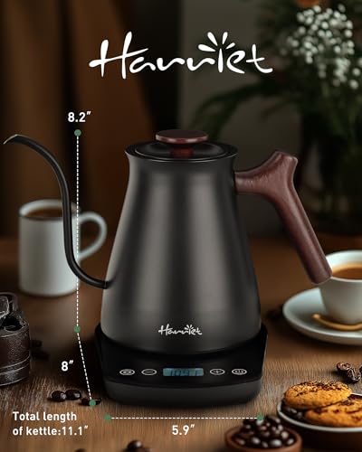 Gooseneck Electric Kettle