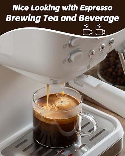 5 OZ Espresso Cups with Handle