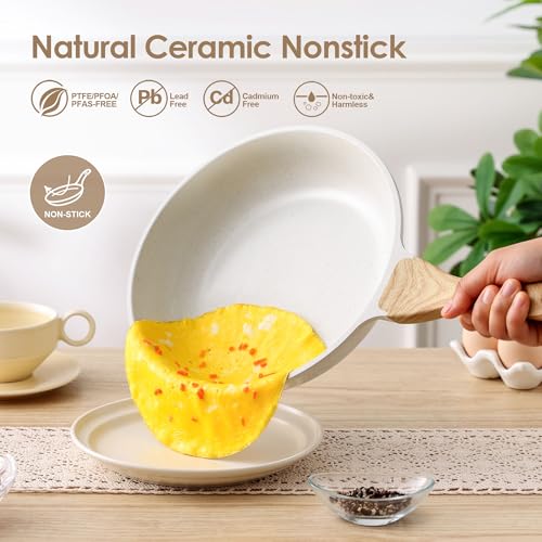 Nonstick Ceramic Frying Pan Skillet