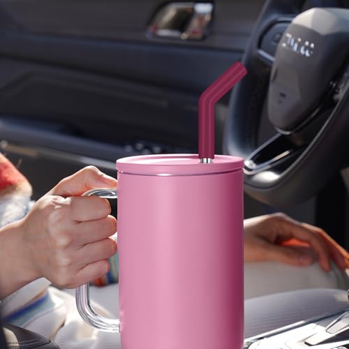 6PCS Stainless Steel Straws with Silicone Tip Fit for Stanley Cup (6 Count)
