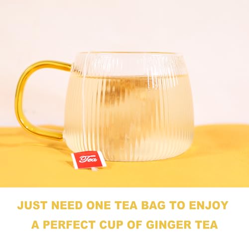 Ginger Tea Bags (64 Count)