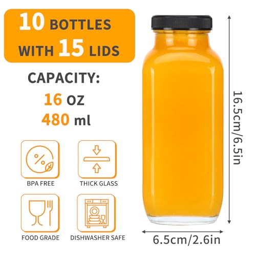 10pcs 16oz Glass Juice Bottles with Lids (10 Count)
