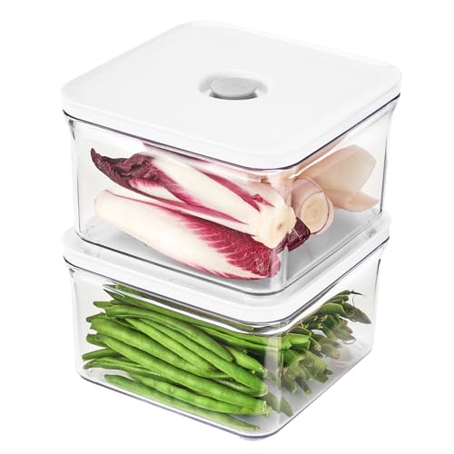 Premium Airtight Food Storage Containers (2 Count)