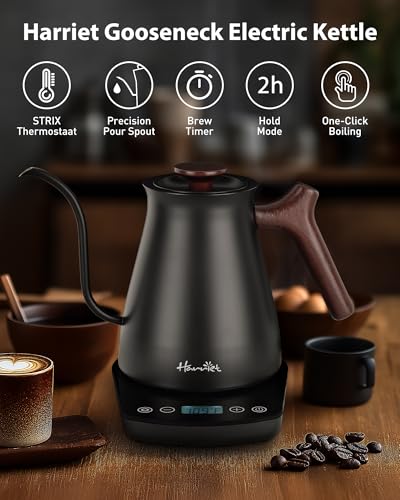 Gooseneck Electric Kettle