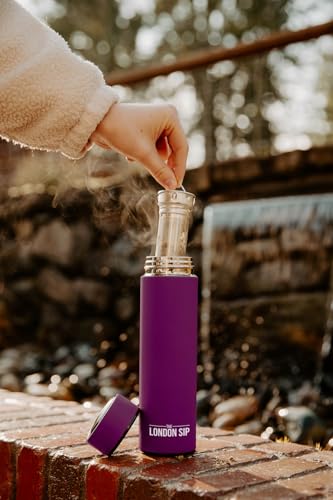 Multi Purpose Travel Mug and Tumbler Fruit Infused Flask Hot and Cold Double Wall Stainless Steel Thermos with Extra