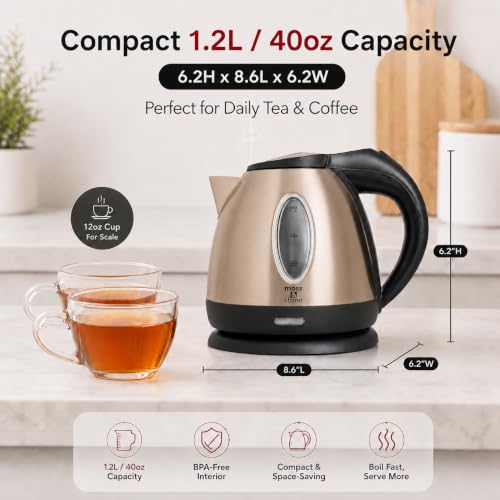 Stainless Steel Electric Kettle
