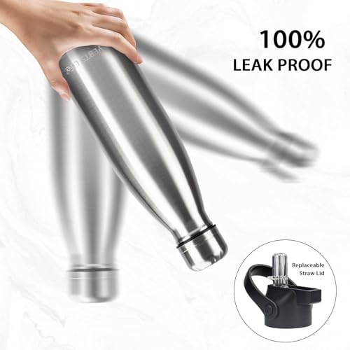 Insulated Water Bottle (2 Count)