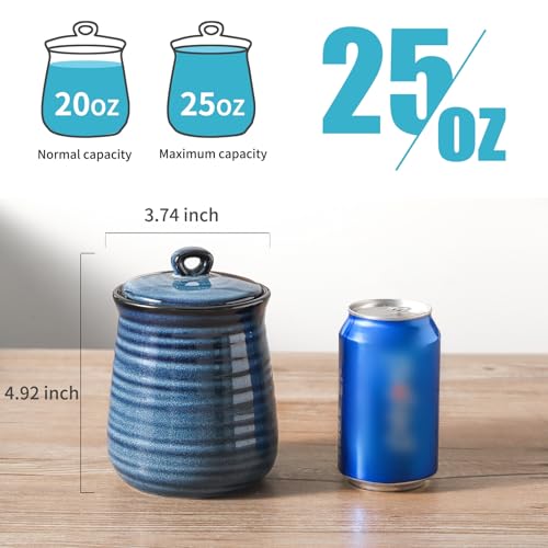 Ceramic Food Storage Jars (3 Count)