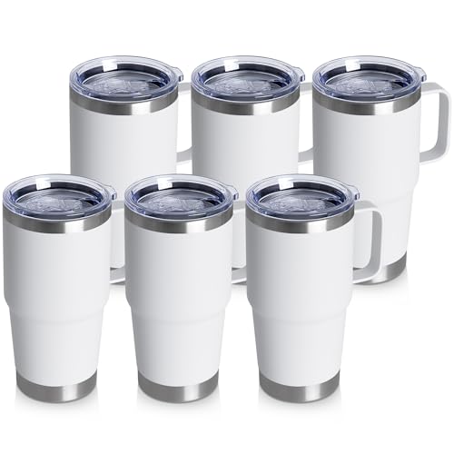20oz Tumbler Bulk with Lid (6 Count)