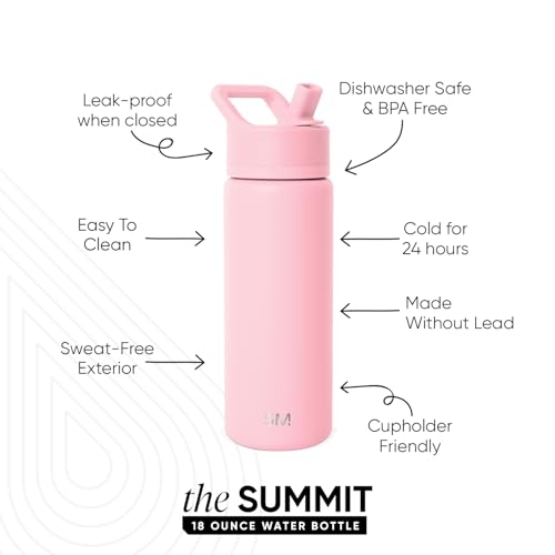 Insulated Water Bottle with Straw