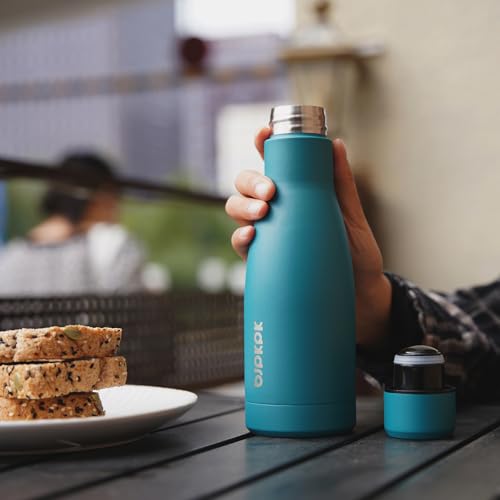 25 oz Insulated Stainless Steel Water Bottle