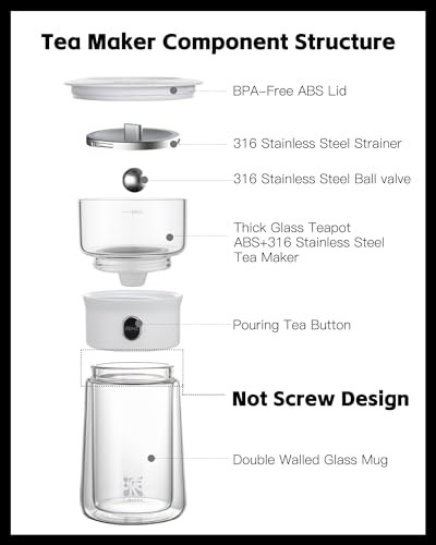 Modern Glass Infuser Pot