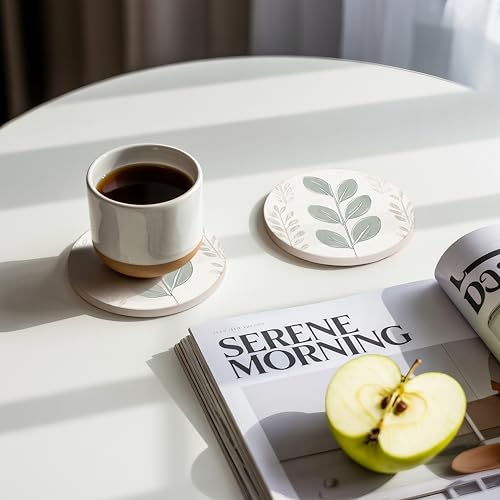 Ceramic Coasters Set of 4 (4 Count)